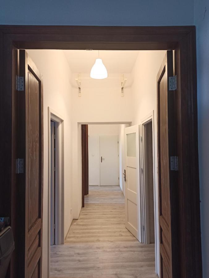 Evergreen Hostel קרקוב מראה חיצוני תמונה
