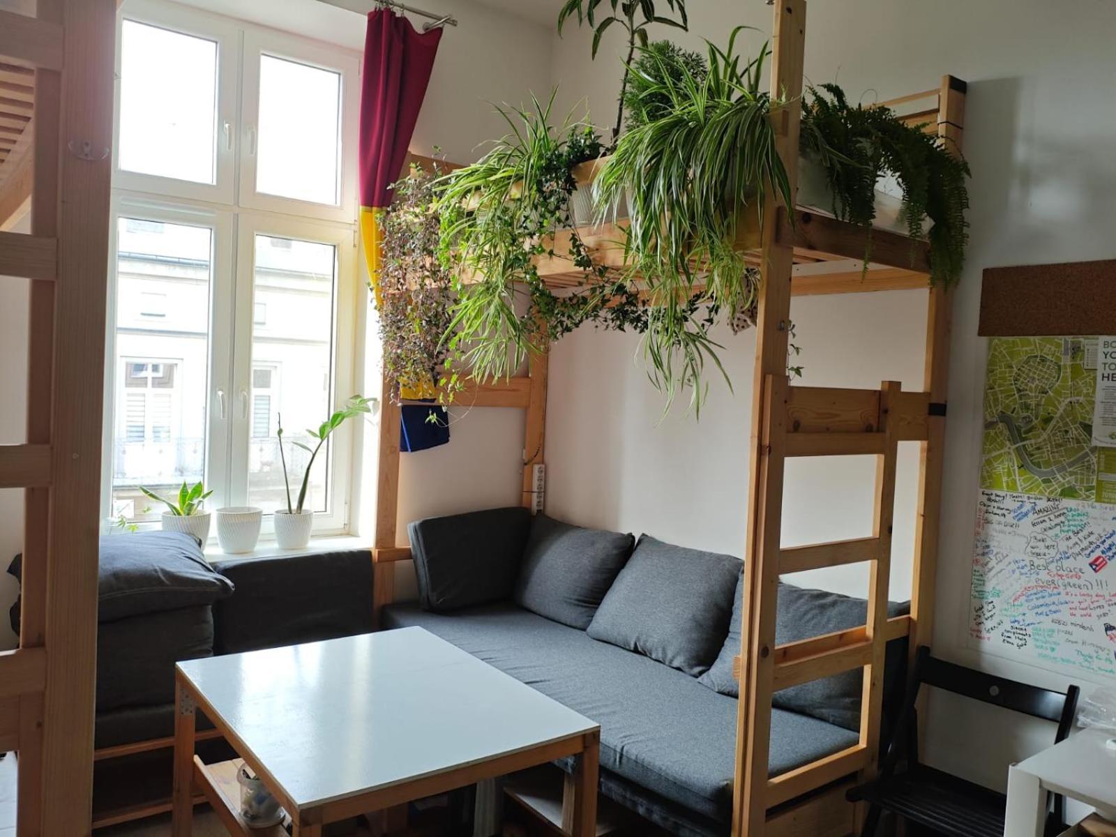 Evergreen Hostel קרקוב מראה חיצוני תמונה